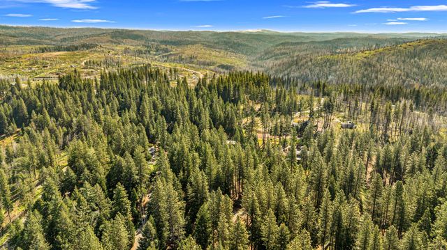 7000 Pioneer Dr, Grizzly Flats, CA 95636