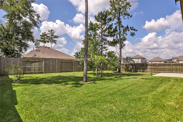 4519 Whitehaven Ridge Way, Porter, TX 77365