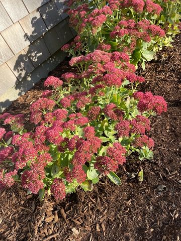 30 Pawtuxet Rd, Plymouth, MA 02360