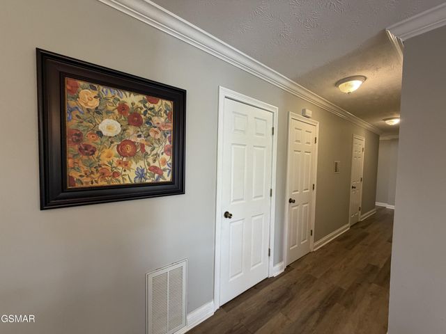 1230 Owens Lane, Dandridge, TN 37725
