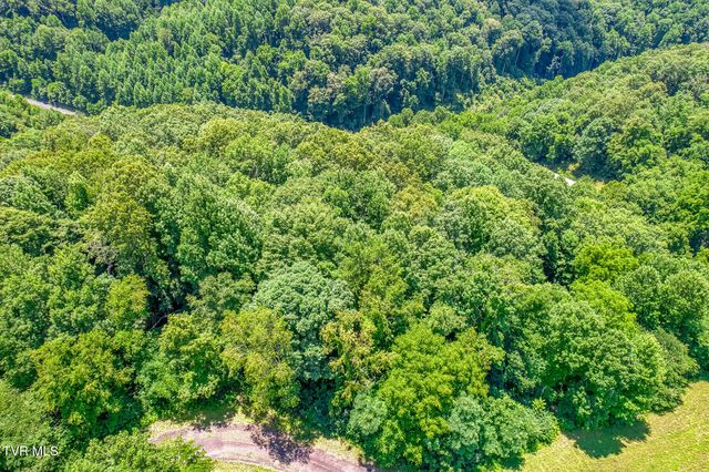 Lot 50 Dry Hill Road, Butler, TN 37640