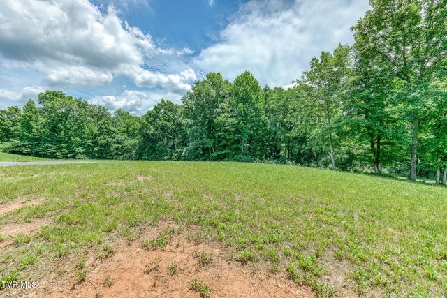 Lot 50 Dry Hill Road, Butler, TN 37640
