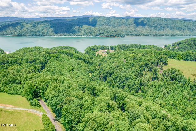 Lot 50 Dry Hill Road, Butler, TN 37640