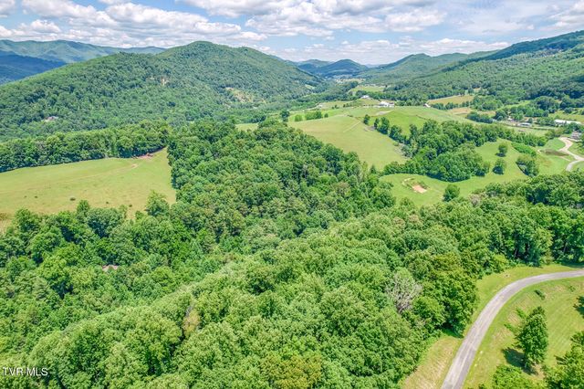 Lot 50 Dry Hill Road, Butler, TN 37640