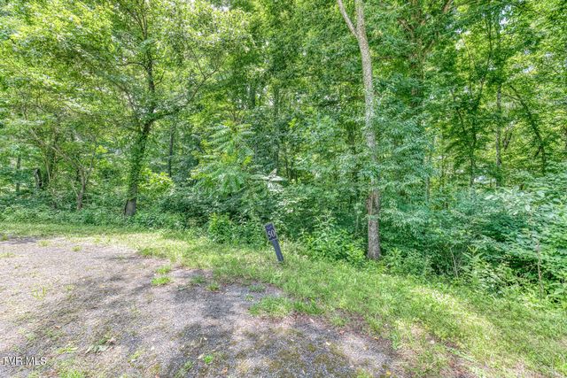 Lot 50 Dry Hill Road, Butler, TN 37640