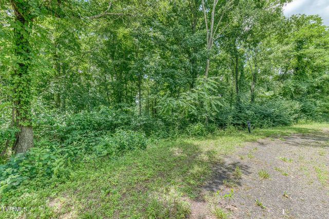 Lot 50 Dry Hill Road, Butler, TN 37640