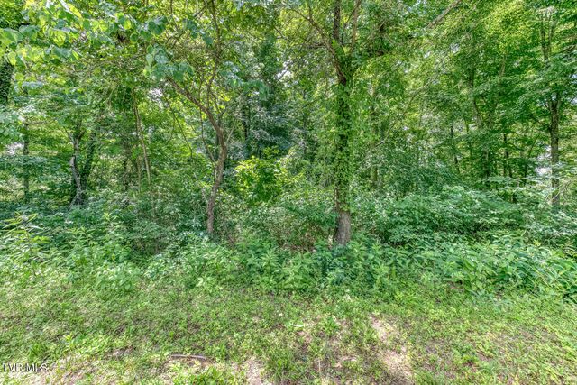 Lot 50 Dry Hill Road, Butler, TN 37640