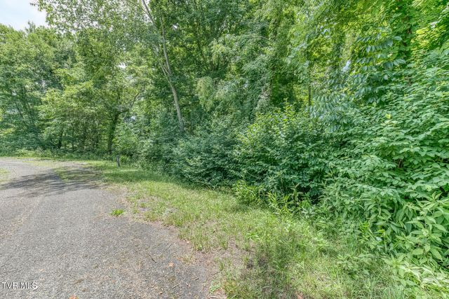 Lot 50 Dry Hill Road, Butler, TN 37640