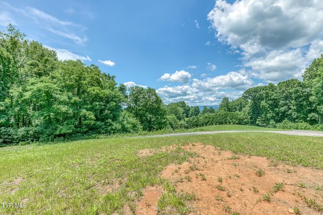 Lot 50 Dry Hill Road, Butler, TN 37640