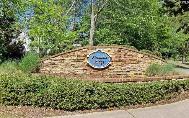 175 Ashewicke Drive, Columbia, SC 29229