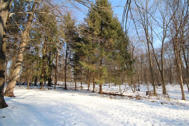 25395 Flach Road, Mendon, MI 49072