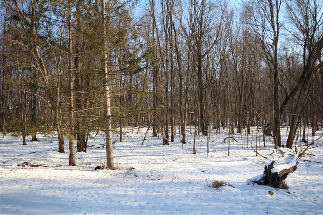 25395 Flach Road, Mendon, MI 49072