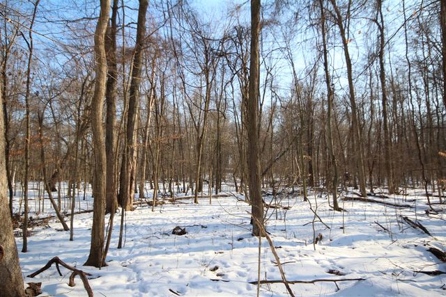 25395 Flach Road, Mendon, MI 49072