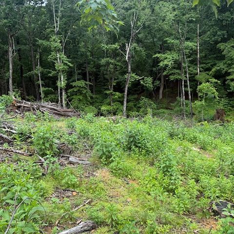 0 Corntassel LN, Roanoke, VA 24018