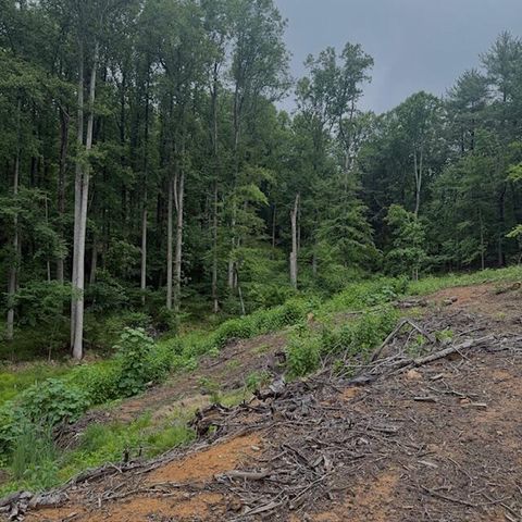 0 Corntassel LN, Roanoke, VA 24018
