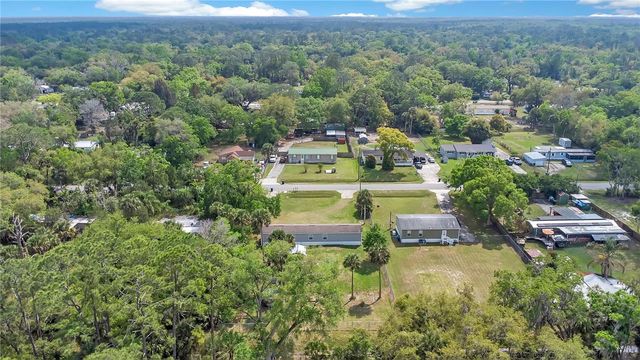 25117 ANTLER, Christmas, FL 32709