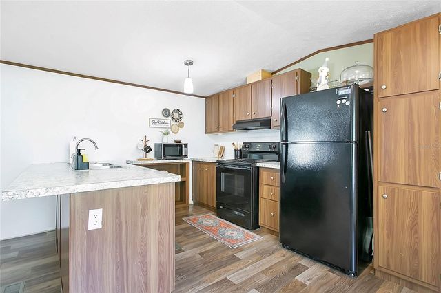 25117 ANTLER, Christmas, FL 32709