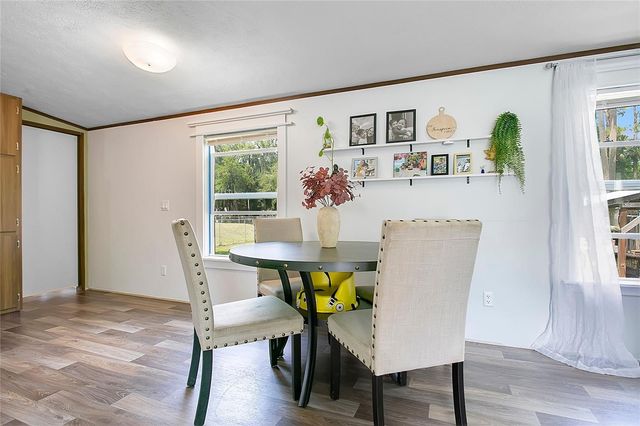 25117 ANTLER, Christmas, FL 32709