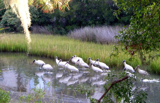 2001 Long Bend, Seabrook Island, SC 29455