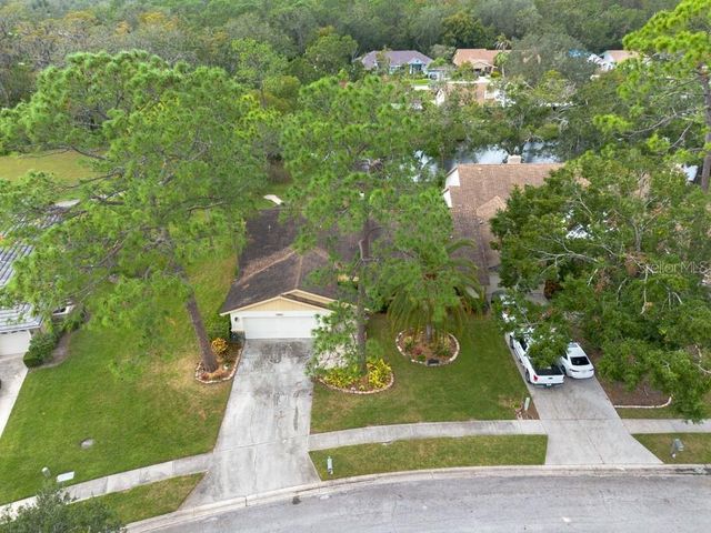 3006 BOLT DRIVE, Palm Harbor, FL 34685