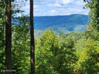 Lot 73 Tomahawk Rd, Jamestown, TN 38556