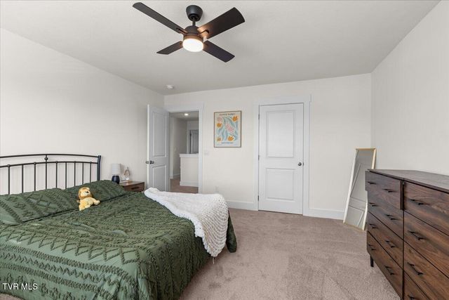 336 Cookie Loop, Johnson City, TN 37615