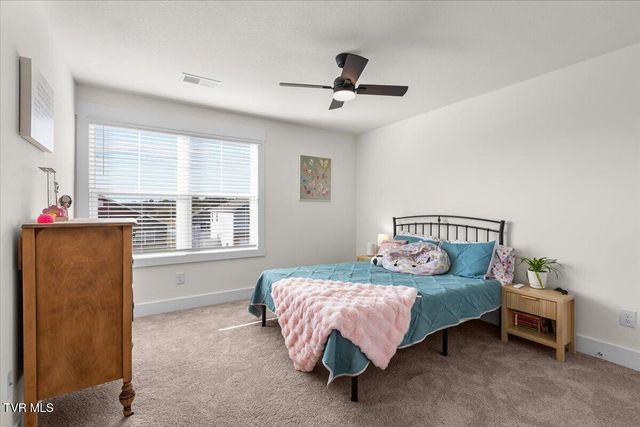 336 Cookie Loop, Johnson City, TN 37615