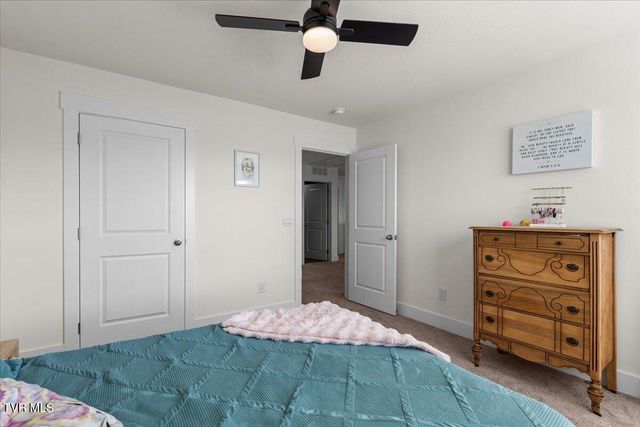 336 Cookie Loop, Johnson City, TN 37615
