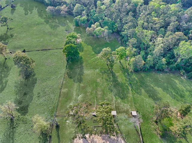 13125 Browder Traylor Road, Willis, TX 77378