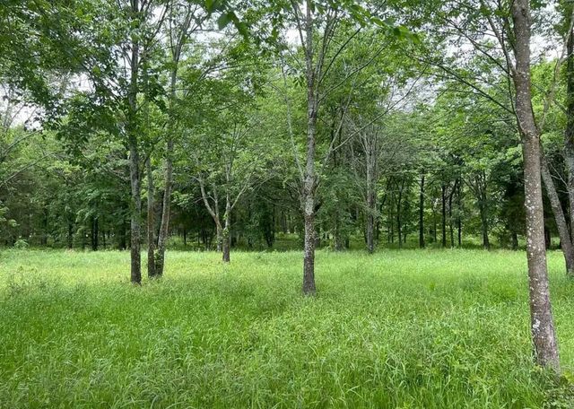 7375 Open Water Point, Quinlan, TX 75474