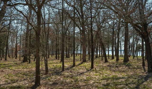 7375 Open Water Point, Quinlan, TX 75474