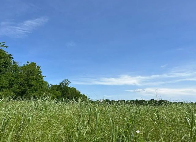 7375 Open Water Point, Quinlan, TX 75474