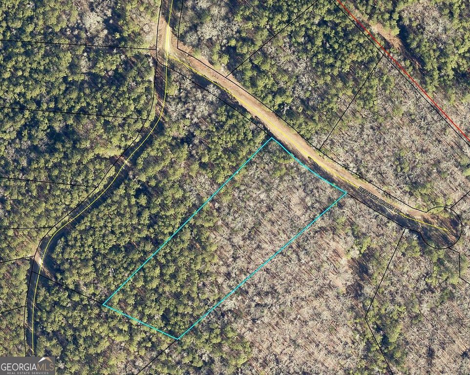 LOT 28 Benjamin Brown Court, Elberton, GA 30635 — photo 3