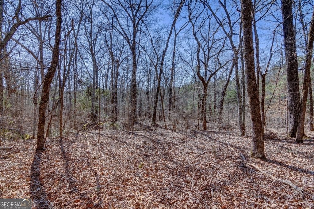 LOT 28 Benjamin Brown Court, Elberton, GA 30635 — photo 4