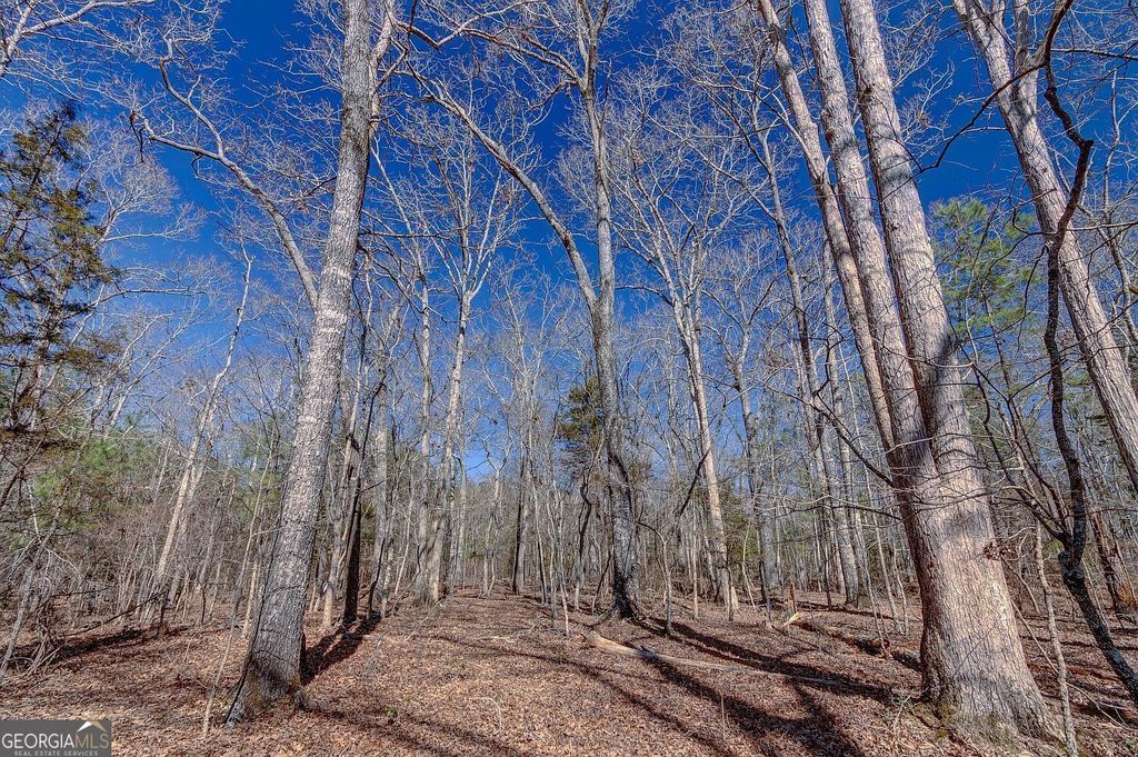LOT 28 Benjamin Brown Court, Elberton, GA 30635 — photo 5