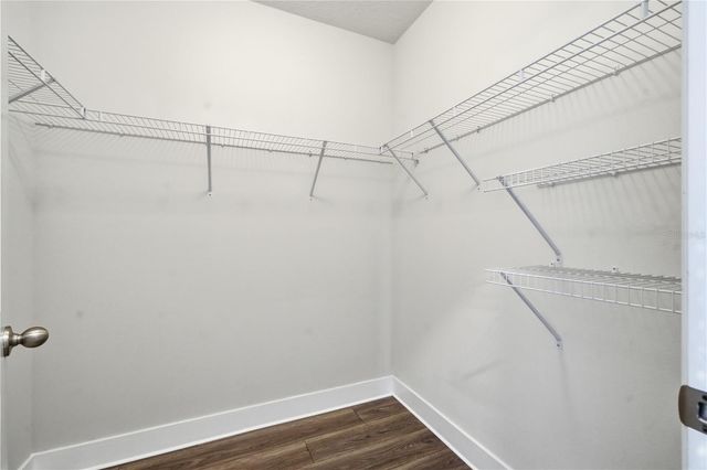 2735 GARDEN PLUM PLACE, Odessa, FL 33556