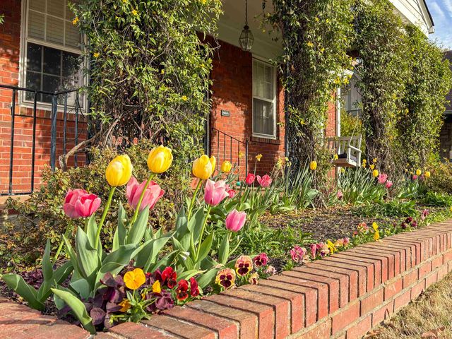 880 N MCLEAN BLVD, Memphis, TN 38107