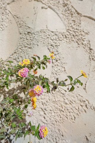 54026 Ridge Road, Yucca Valley, CA 92284