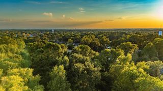 235 Ellis Dr., Waskom, TX 75692