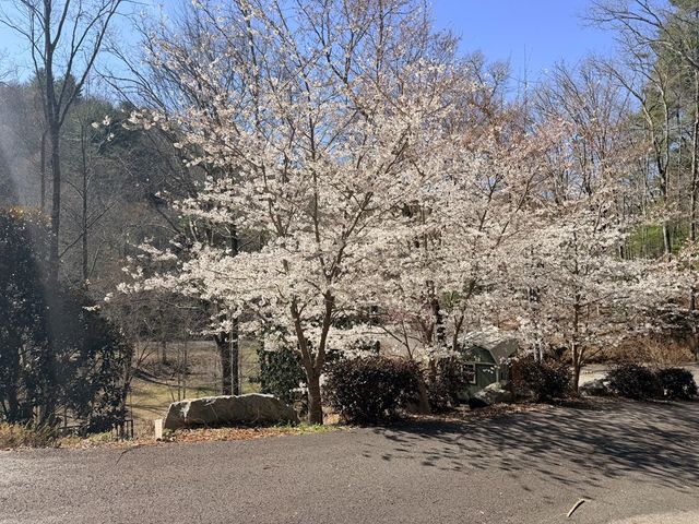 605 Owl Creek Road, Hiawassee, GA 30546