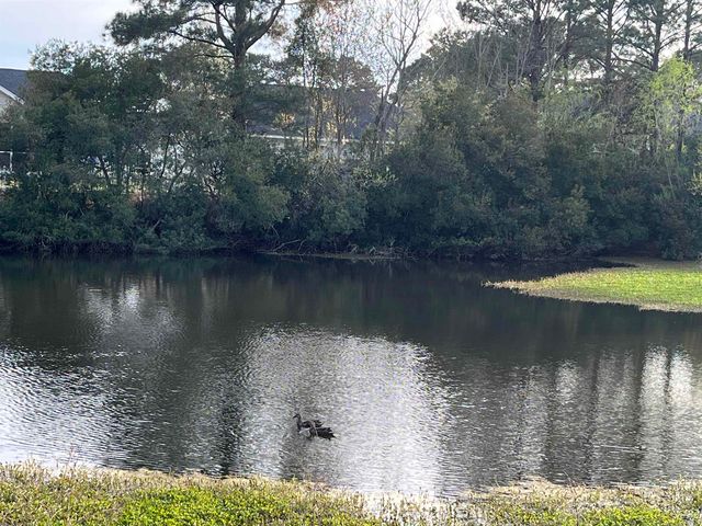 2719 Woodcreek Ln., Conway, SC 29526