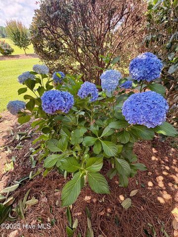 25 Muirfield Drive, Whiteville, NC 28472