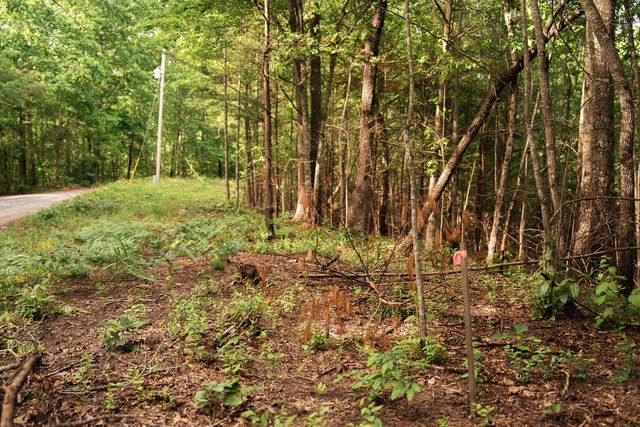 Tract 2 Century Lane, Blue Ridge, GA 30513