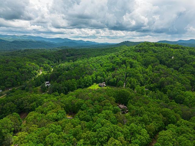 Tract 2 Century Lane, Blue Ridge, GA 30513