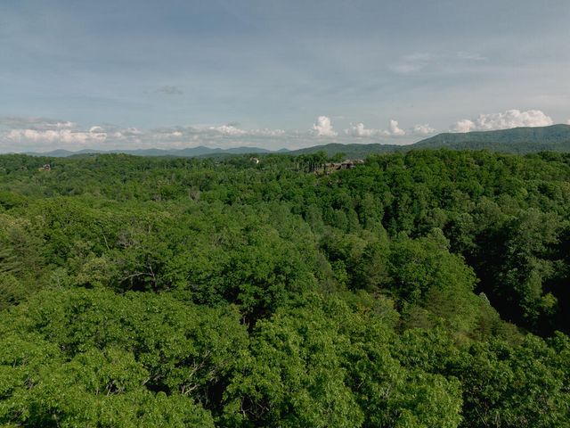 Tract 2 Century Lane, Blue Ridge, GA 30513