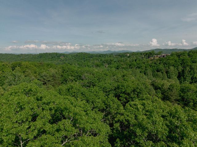 Tract 2 Century Lane, Blue Ridge, GA 30513
