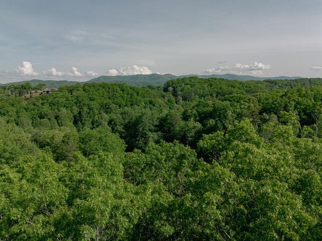 Tract 2 Century Lane, Blue Ridge, GA 30513