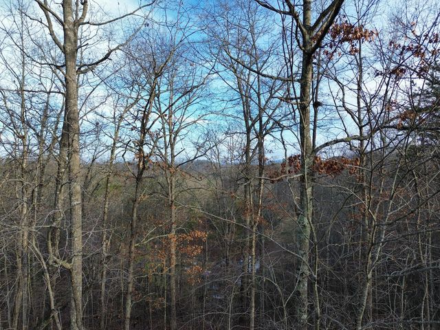 Tract 2 Century Lane, Blue Ridge, GA 30513