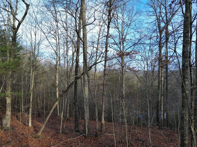 Tract 2 Century Lane, Blue Ridge, GA 30513