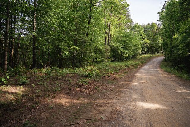 Tract 2 Century Lane, Blue Ridge, GA 30513
